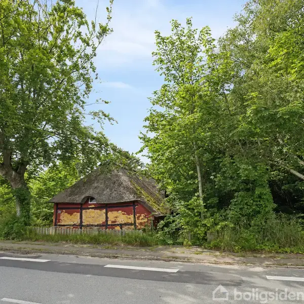 En lille, gul-rød bygning med stråtag står stille omgivet af frodige træer og buske ved siden af en asfalteret vej.