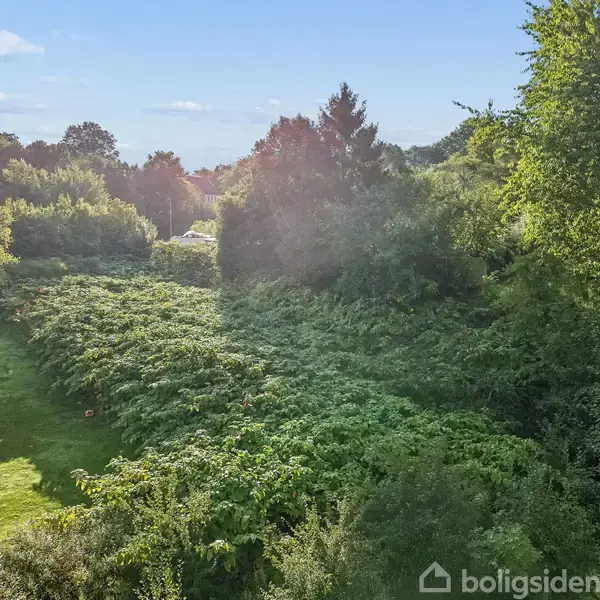 En sort havepavillon står på en græsplæne omgivet af kraftig vegetation og træer i et solrigt landskab.