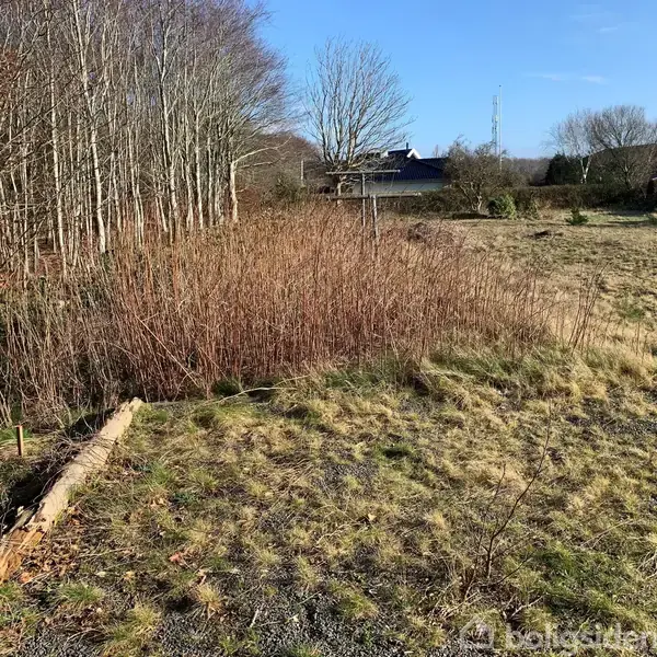 En åben, græsbevokset mark med tørre buske vokser langs kanten, der grænser op til en række løvtræer. I baggrunden ses nogle huse under en klar blå himmel.