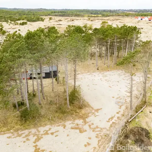 Træhus står stille omgivet af høje træer i et øde, sandet område med enkelte græspletter. Et lille, snoet grusvej fører til huset. I baggrunden ses spredte bygninger.