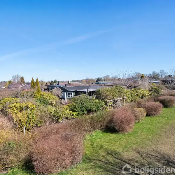Et hus omgivet af tæt beplantede buske og træer. Huset står stille i en frodig grønt område med en vej til venstre, under en klar blå himmel.