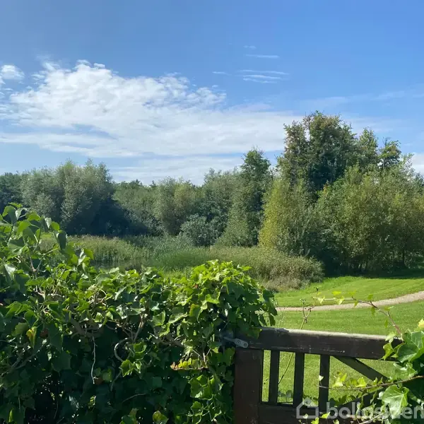 En terrasse med grønne planter udsigt til en grøn eng og skov i baggrunden under en blå himmel med lette skyer.