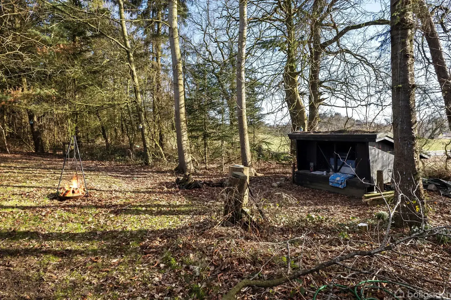 Hus med landlig beliggenhed og natur omgivelser - Visning 2