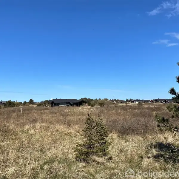 Landskab med et åbent, tørt græsareal og spredte buske. I baggrunden ses et par huse spredt langs horisonten under en klar blå himmel.