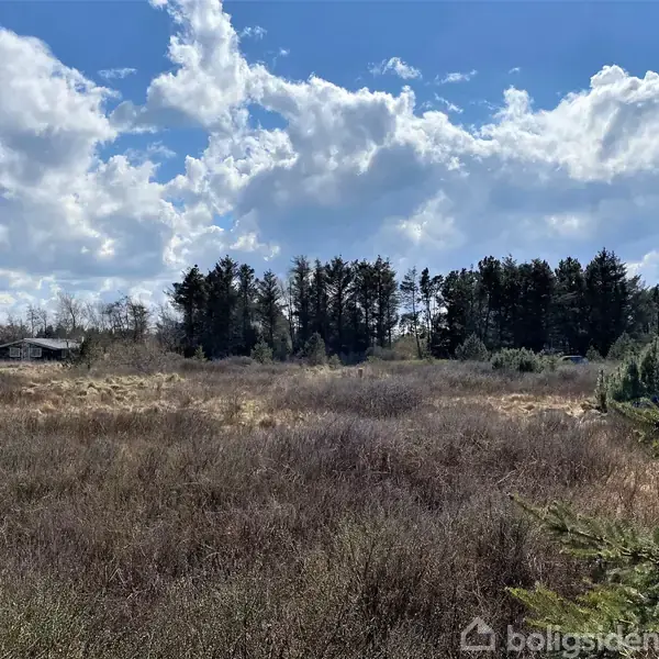 Græsbevokset område strækker sig mod en skov af høje træer under en blå himmel med spredte skyer. Skure ses i baggrunden. Tekst: boligsiden (vandmærke ignoreres).