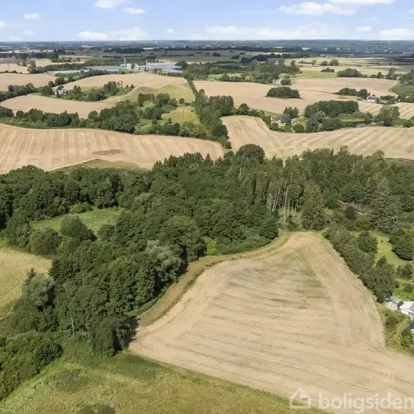 Marker med gyldne korn ligger udbredt i solen. Skovklædte områder indrammer markerne. I forgrunden ses huset og haven, mens landskabet fortsætter i horisonten under en klar, blå himmel.