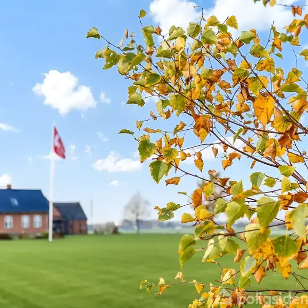 Et træ med gyldne blade står i forgrunden, mens en rød murstensbygning ses i baggrunden med en dansk flagstang på en velplejet græsplæne under en blå himmel.