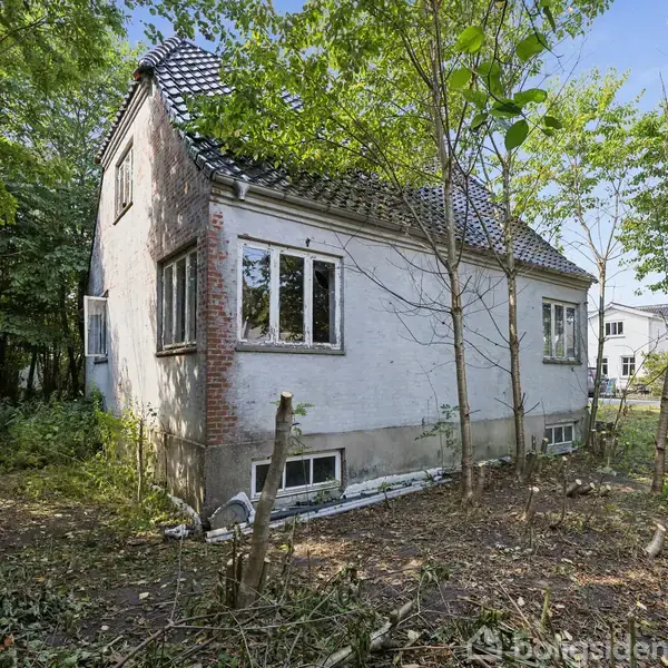 Hus står stille i skovomgivelser med moset tag og hvide mursten. Omgivet af træer og ubeskåret buskads på en overskygget grund.