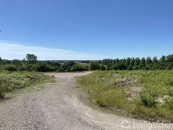 En grusvej snor sig gennem en grøn, åben landskab med buske og træer under en klar blå himmel.