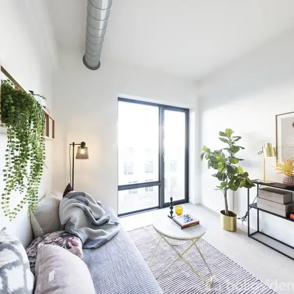 En lys stue med en sofa dækket af puder og et tæppe, en væghylde med planter, og et lille sofabord. Reol med dekorationer står foran et stort vindue.