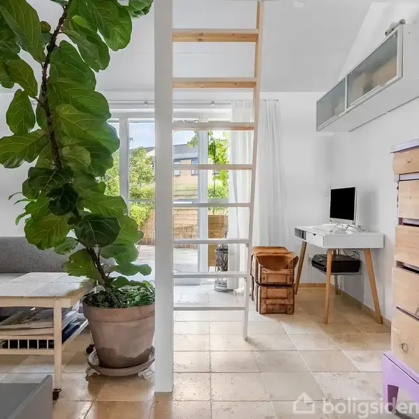 Stor stueplante står i krukke, ved siden af en grå sofa med et bord. Stige fører op, computer på skrivebord i hjørne, lyse fliser, og lyse rum med kunstnerisk elefantbillede.