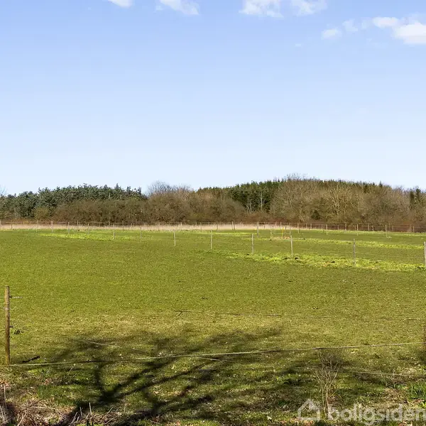 Græsmark strækker sig i fladt terræn, omgivet af hegnspæle, med baggrund af træer i horisonten under klar, blå himmel.