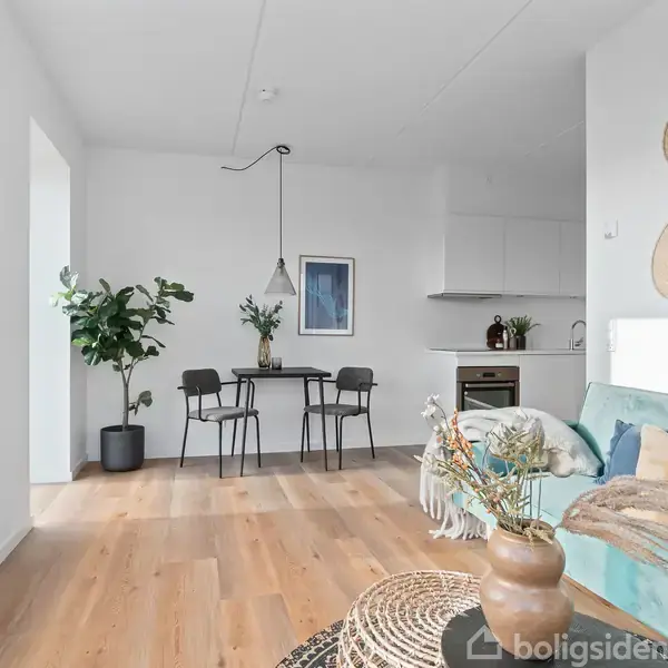 Et lyst og moderne stue/køkken-alrum med trægulv, en grøn sofa med puder, en rund stueplante, et spisebord med fire stole, pendellampe og et lille køkken i baggrunden.