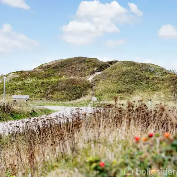 Sti snor sig gennem kuperet terræn med græs og vilde blomster i forgrunden. Skyfri blå himmel med få skyer i baggrunden.