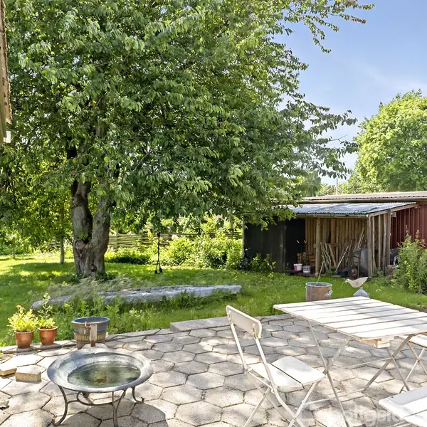 En terrasse med hvide stole og bord står stille. Omkring er en frodig have med et stort træ og en rødbrun skurbygning. Sollys oplyser den grønne omgivelse.