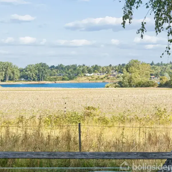 En mark fyldt med gyldent græs strækker sig op til en sø, omkranset af træer. En birketræstamme står til højre, og vandet glitrer under den blå himmel.