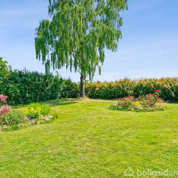 En stor grøn græsplæne med blomsterbede omgiver et højt træ i midten, omkranset af tæt buskads under en klar blå himmel.