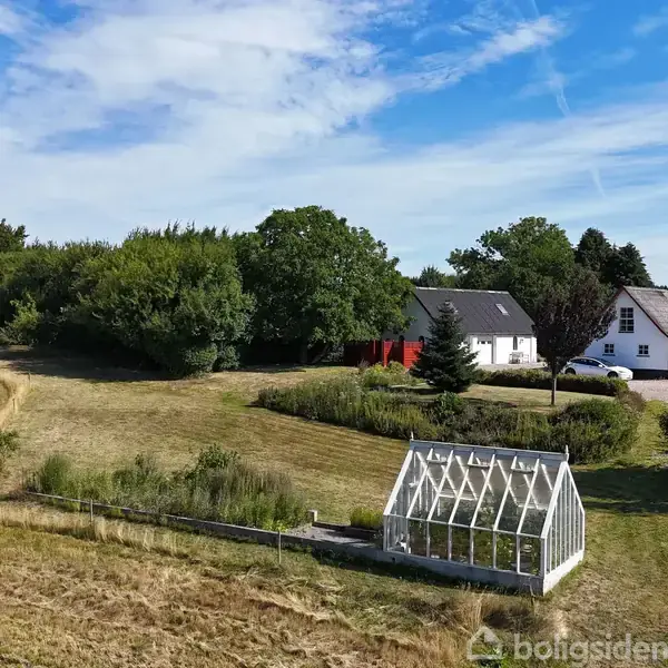 Drivhus står på en græsmark, omgivet af tæt vegetation og træer. I baggrunden ses et hvidt hus med sort tag og en blå himmel.