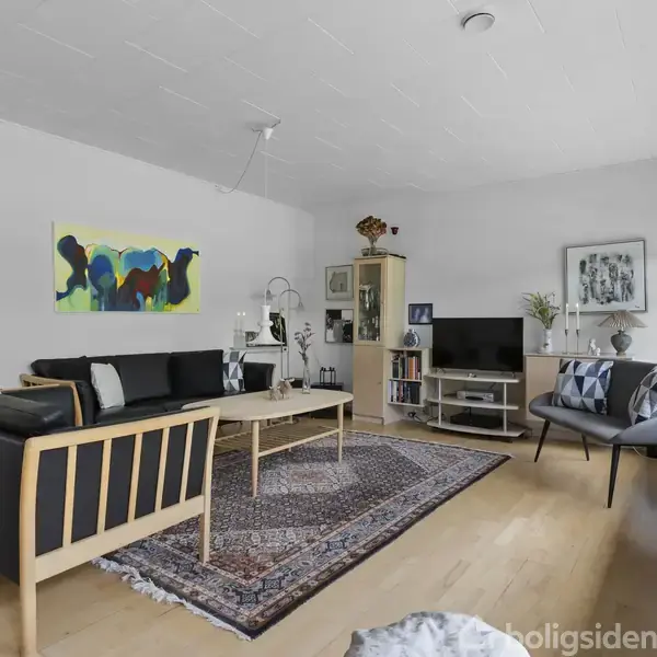 En stue med sort sofa og sofabord på et persisk tæppe. En reol står ved siden af et fladskærms-tv. Et stort vindue lader lys ind i rummet.