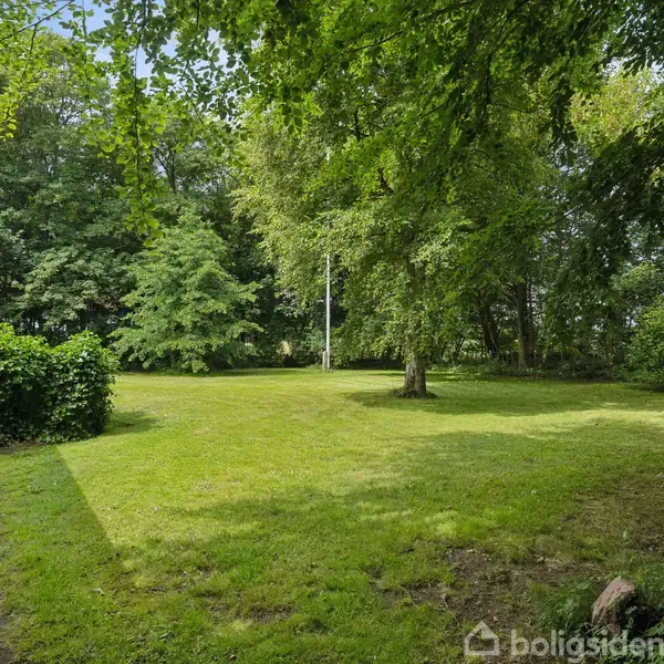 En græsplæne strækker sig foran en gul bygning til venstre og er omgivet af mange træer i en frodig have.