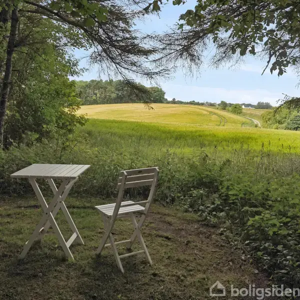 To hvide træstole og et bord står stille i skovlysning, omgivet af frodig vegetation, med udsigt til en gylden mark under en blå himmel.