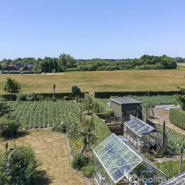 Drivhuse står i en frodig have med forskellige planter. Ud over haven ses en vidstrakt mark under en klar blå himmel, med huse og skov i baggrunden.