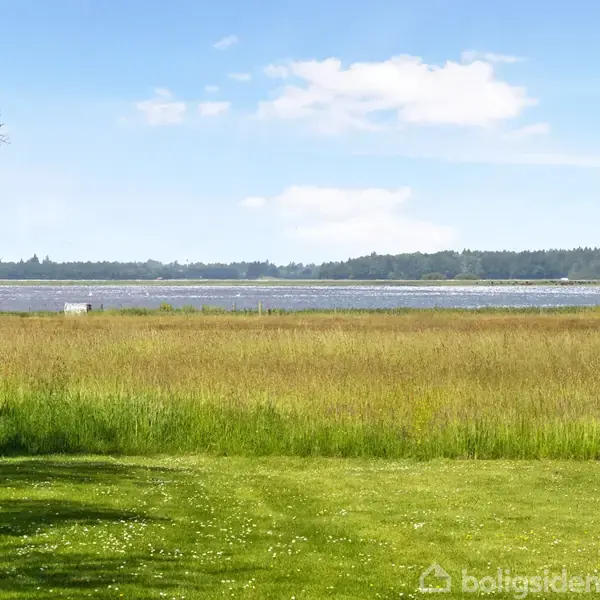 Græsplæne ligger i skyggen tæt på vandkanten, med en sø og skov i baggrunden under en blå himmel med spredte skyer.
