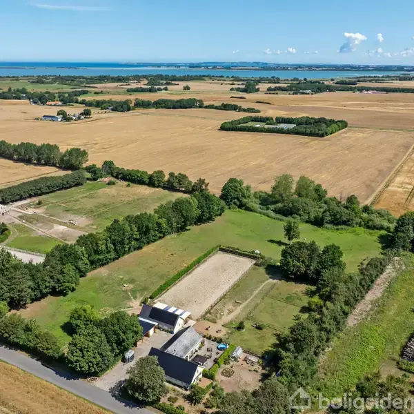 Luftfoto af landejendom med flere bygninger omgivet af træer og marker. Markerne strækker sig ud til horisonten med en kystlinje og vand i baggrunden under en blå himmel.