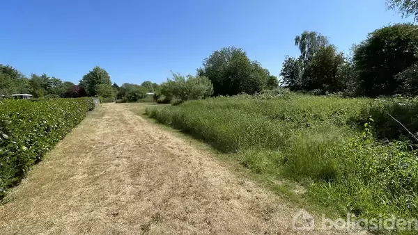 En grusstig løber gennem en grøn have, omgivet af højt græs og træer under en klar blå himmel. Vandreturen skaber en fredfyldt naturstemning.