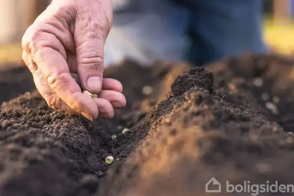 Planteavlsgård/-jord på Tjørnedevej 124A, 4340 Tølløse