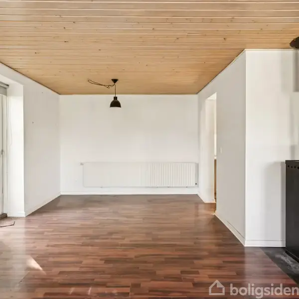 Brændeovn opvarmer rummet, hvor den står ved en væg i et tomt rum med trægulv og træloft. En enkelt loftslampe hænger over gulvet, og en radiator ses i baggrunden.