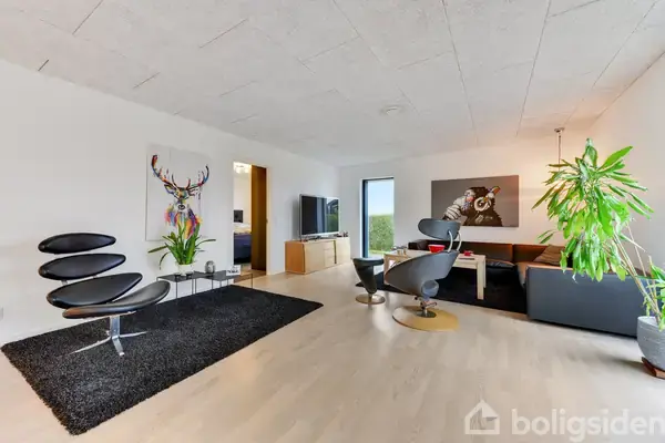 Stue med moderne sort lænestol og sofa, udsmykket med farverigt dyremaleri. Lyse trægulve og grønne planter skaber en frisk atmosfære. Tv på væg og stort vindue i baggrunden.