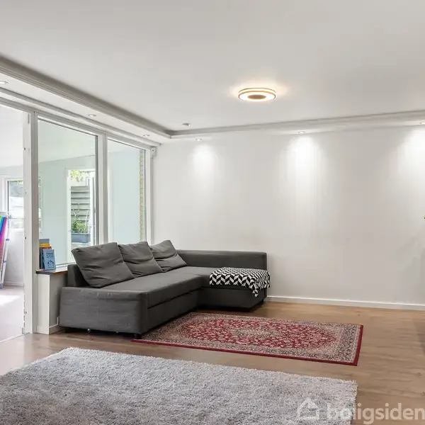 En grå sofa står i et moderne, lyst rum med trægulv og hvide vægge. En rød tæppe ligger under sofabordet. I baggrunden ses en grøn plante og store vinduer.