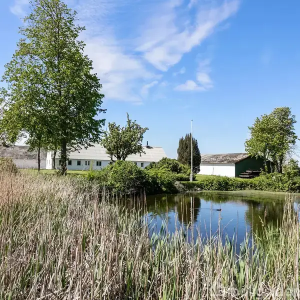 En hvid bygning står ved siden af en spejlblank sø omgivet af rør og træer i frodig natur under en blå himmel med lette skyer.