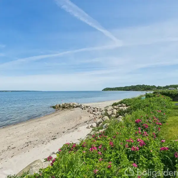 Strand med hvidt sand og blå vand er omgivet af grønne buske med lyserøde blomster. En flagstang med et dansk flag står til højre i billedet.