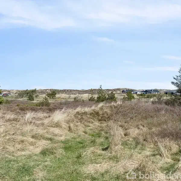 En græsmark med spredte træer og buske ligger under en klar, blå himmel. I baggrunden ses enkelte huse, der skaber en rolig landskabelig forstadskontekst.