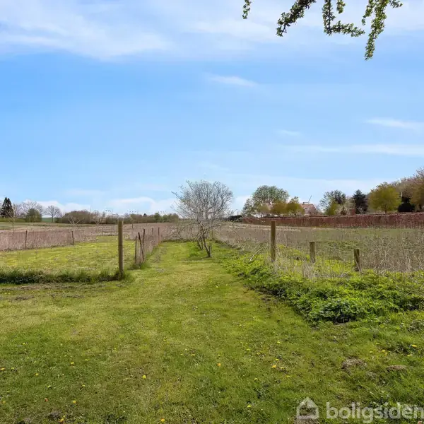 En grøn græsplæne strækker sig mellem to hegn mod en enkeltstående træ, omgivet af marker og skov i baggrunden under en klar blå himmel.