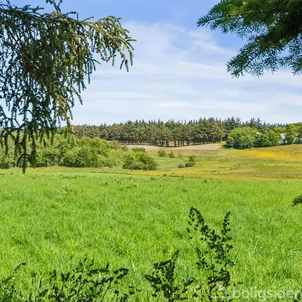 En frodig, grøn mark strækker sig under en klar, blå himmel, omkranset af skov og spredte træer. En grusvej ses i baggrunden, og sollys oplyser landskabet.