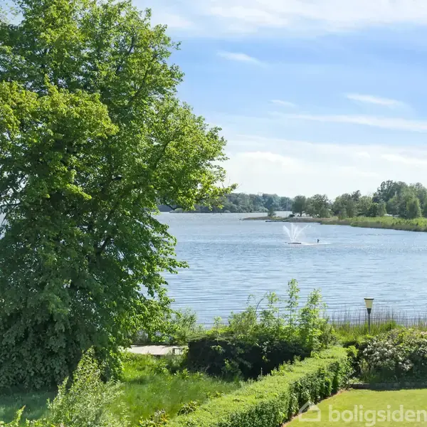 Et stort grønt træ står ved siden af en sø med en springvand. I baggrunden er der en skov, og himlen er klar og blå.