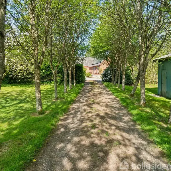 Gruset sti strækker sig mellem to rækker træer, der kaster skygger, og leder mod et hus i baggrunden. Til højre ses en grøn bygning.