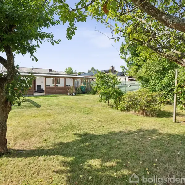 Græsplæne med træer i forgrunden, der leder op til et hus med terrasse i baggrunden. Omgivet af buske og hække under en klar himmel.