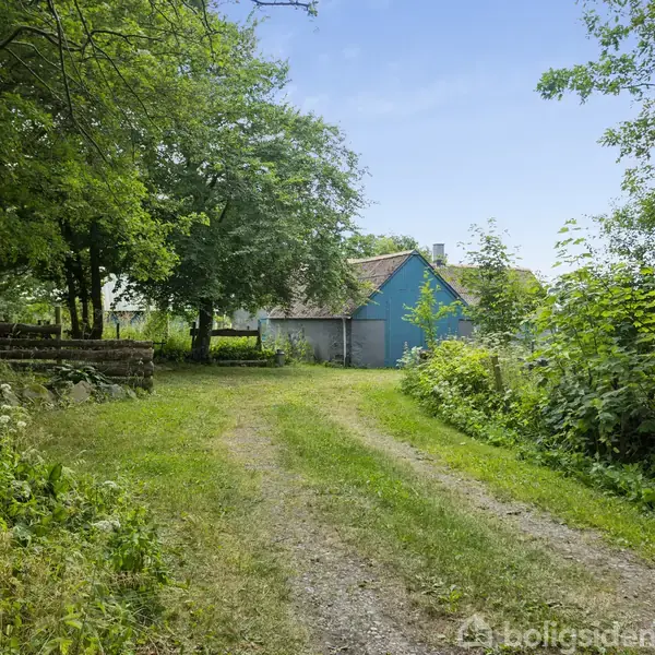 Et blåt hus står roligt i en landlig grenvej, omringet af frodige, grønne træer og buske, med en grusvej der fører op til bygningen i en naturskøn omgivelser.