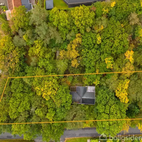 En rektangulær grund dækket af tæt skov med et hus i midten. Omkransende veje og huse ses i periferien. Begrænsningslinjer markerer grundens omfang.