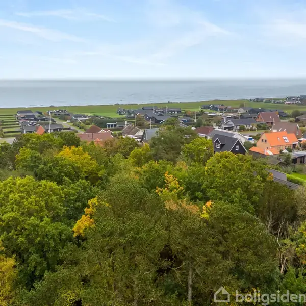 Huse med farverige tage står stille ved hækkenes små veje; omkring dem breder frodig skov sig, mens havet strækker sig under den klare himmel i horisonten.