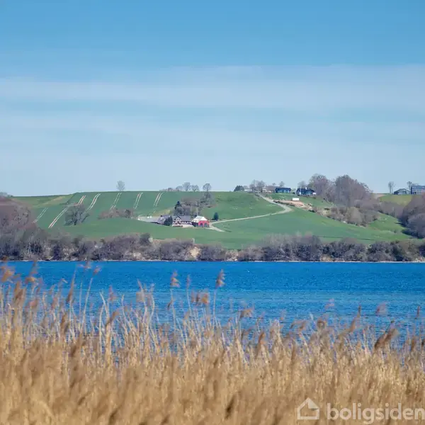 Marker står i forgrunden, græsser ved søens kant. Blå sø i midten. Baggrund: grønne bakker med spredte træer og et par huse. Klar himmel ovenover.