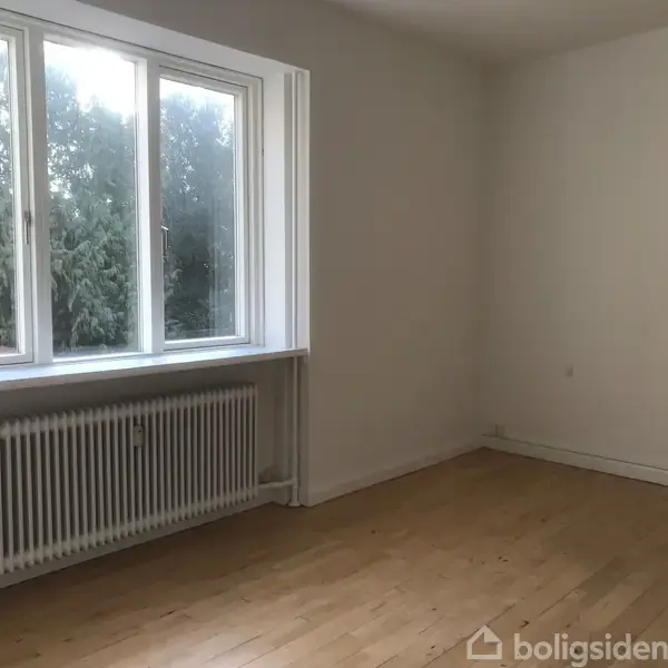 Et tomt værelse med et stort vindue. Radiator under vinduet. Væggene er hvide, og gulvet er af lyst træ. Udsigt til træer udenfor.