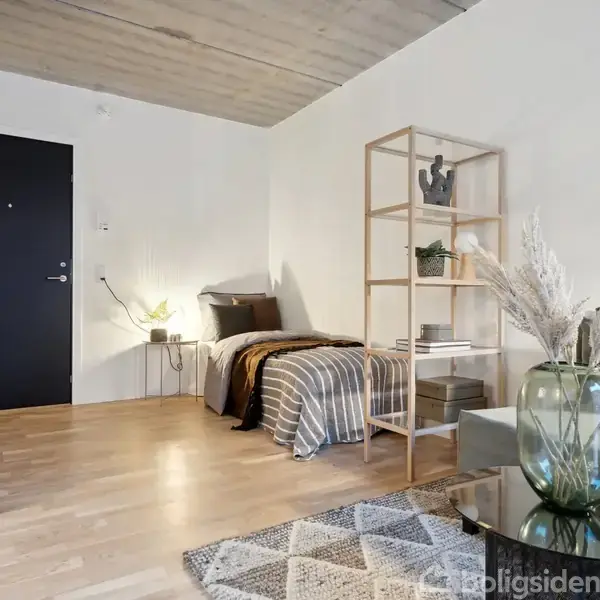 En pæn stue med en seng i hjørnet, stillet ved en sort dør. Der er en åben reol og en grøn sofa. En glasvase med tørrede blomster dekorerer sofabordet.
