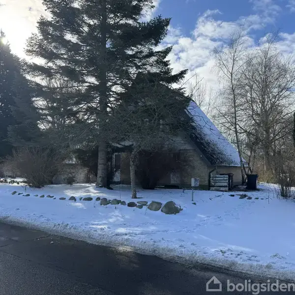 Hus dækket af sne står stille i et snedækket landskab omgivet af store grantræer; vejen ved siden af er fri for sne under en delvist skyet himmel.