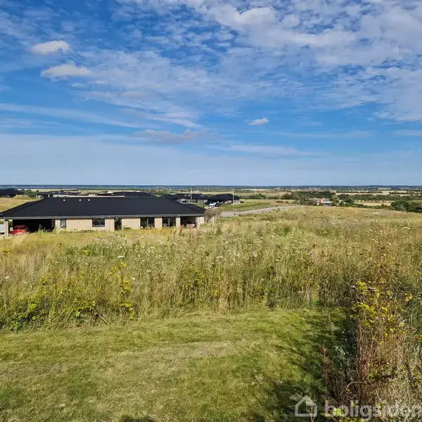 En ensom bygning med sort tag står stille omgivet af en stor, åben mark under en blå, spredt skyhimmel. Grønt græs og vilde blomster dækker landskabet.