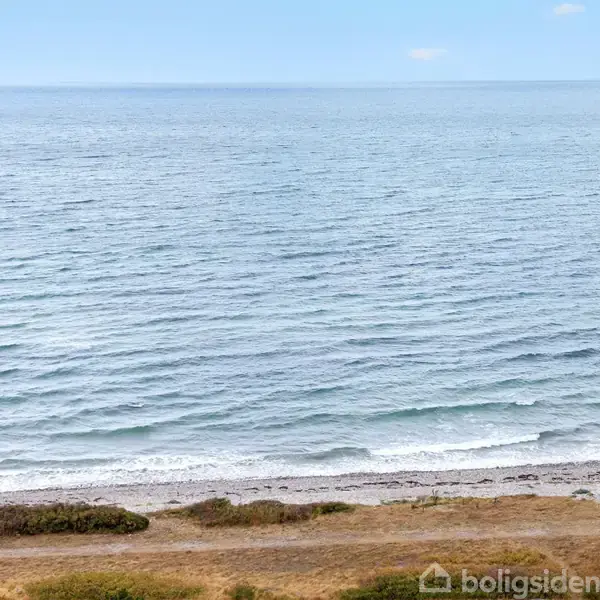 Havets bølger bevæger sig mod en sandstrand med klitter og græs i forgrunden. En klar, blå himmel fylder baggrunden.